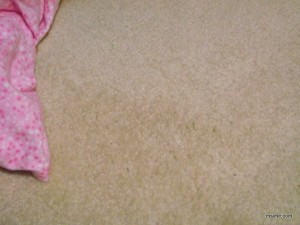 carpet