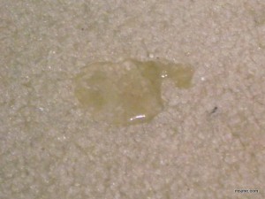 water on carpet