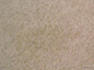 carpet
