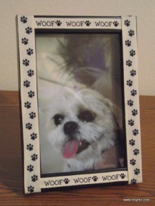 Pet Frame