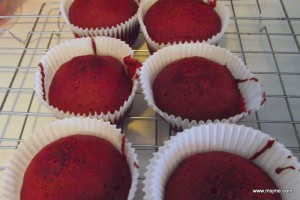 Fill cupcake liners 2/3 full and bake for 19-20 minutes.  Do the toothpick test to make sure they are ready. Let them cool. 