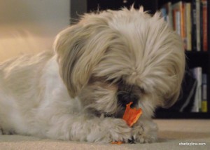 Slice sweet potatoes no more than 1/4 inch thick and put in a food dehydrator for 9-12 hours. You can bake them also. No other ingredients and it's super healthy for dogs!