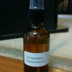 I have been making this repellent for a few years now.  Ingredients: 15 drops of Peppermint Essential Oil for every 1 ounce of water (or vodka).  Shake before spraying.  DO NOT spray on skin.  Peppermint is a strong oil and this mixture may be too much for touch.  Test a small area to be sure it won't stain or damage it also. This spray works great and it's not really just for ants.  Mice and spiders are known to hate Peppermint also.    Instead of spraying on items, you can also spray a small piece of cloth and leave it in the corner or where ever you want to deter the ants.  