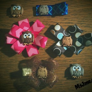 I love owls!  And had to pick up a package of these adorable "buttons" to make some new clips. 